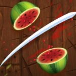 FRUIT NINJA